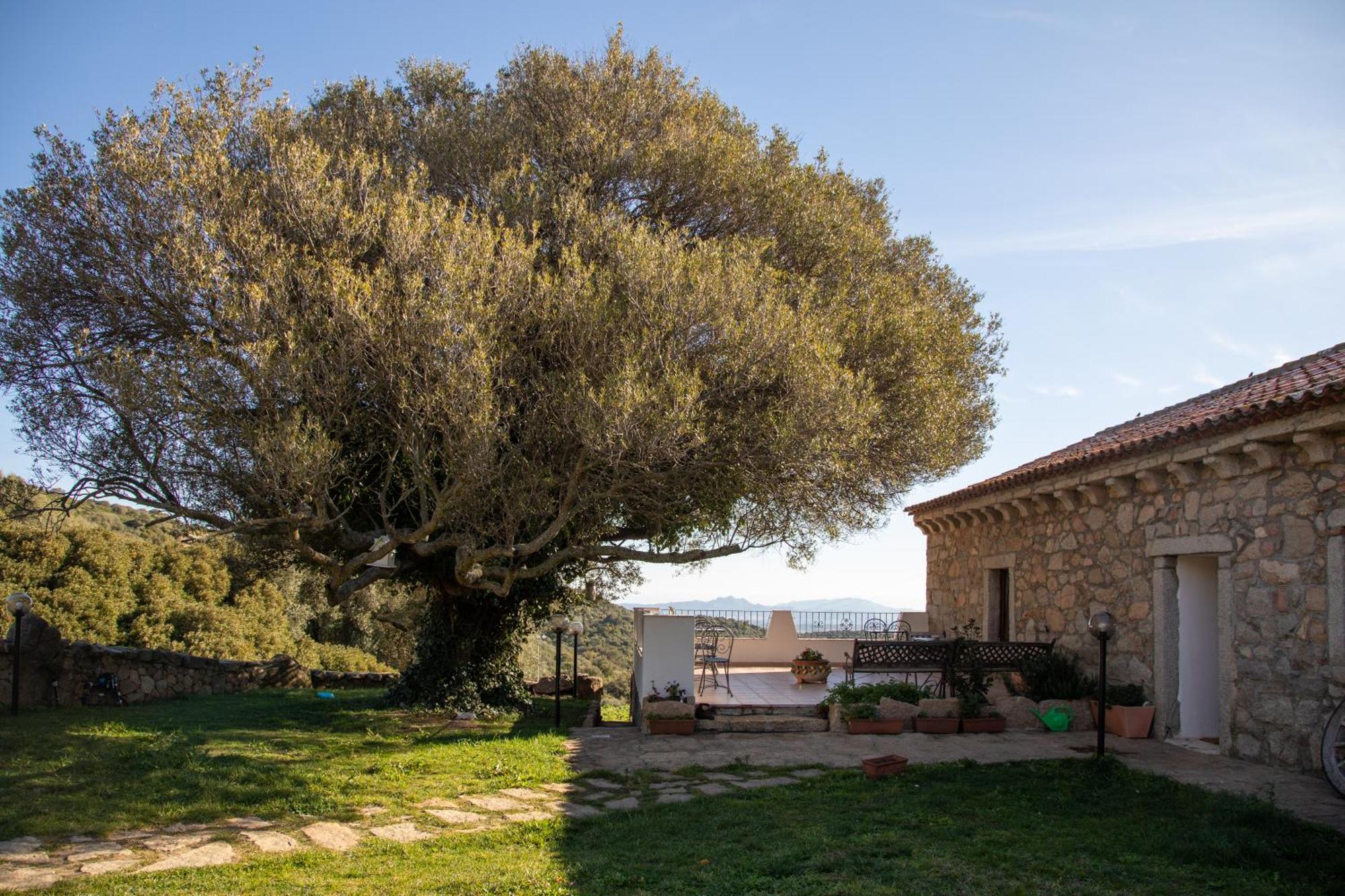 Cantina&Agriturismo Canu Villa Luogosanto Exterior photo